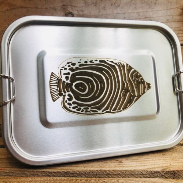 Barquette repas inox rectangulaire - Poisson-ange empereur juvénile