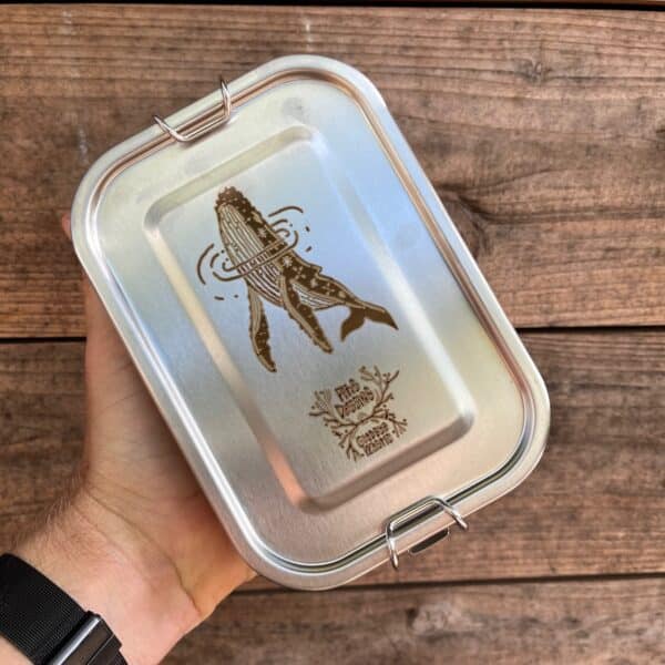 Barquette repas inox rectangulaire - Baleine à bosse de Pitidessins – Image 4