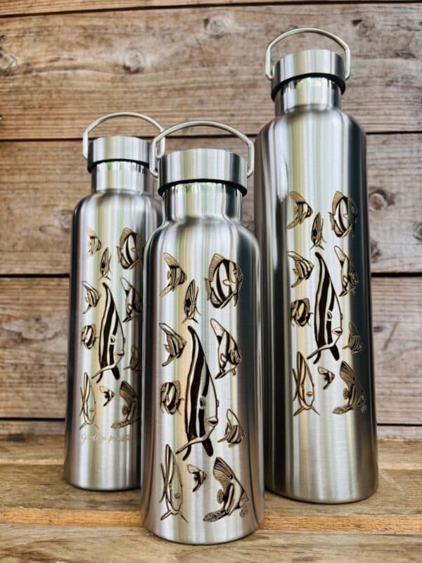 Gourde inox isotherme - Les Platax par Bland' – Image 2