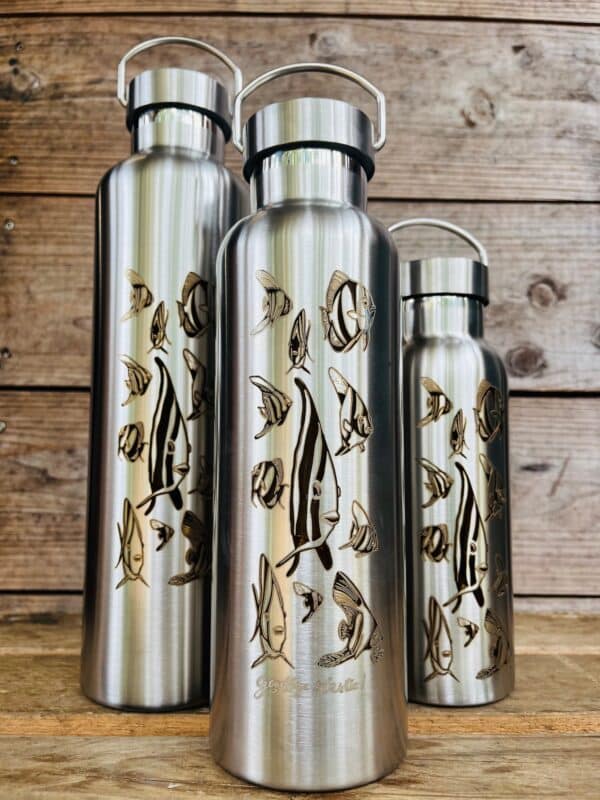 Gourde inox isotherme - Les Platax par Bland'