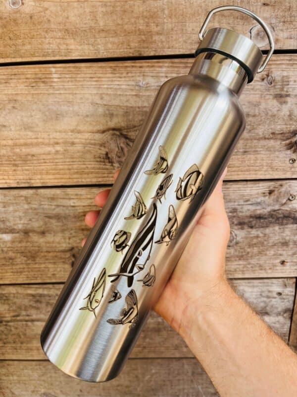 Gourde inox isotherme - Les Platax par Bland' – Image 4