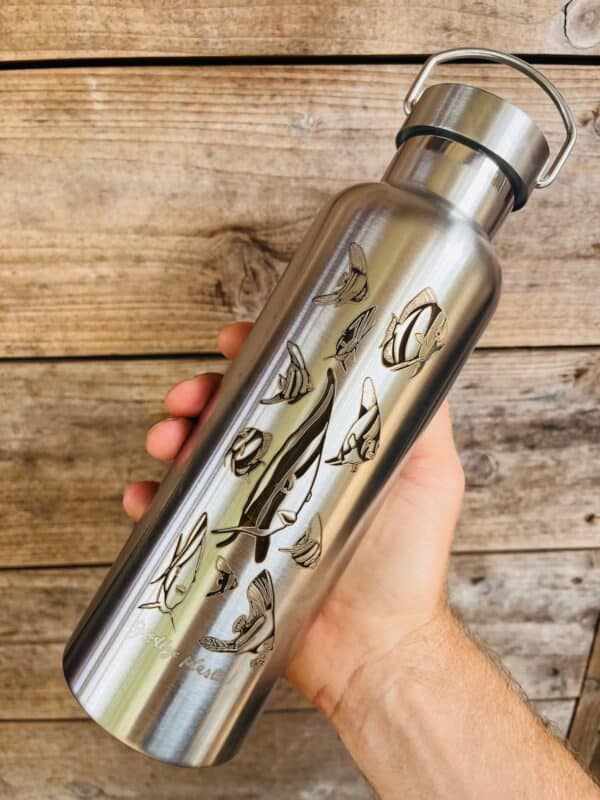 Gourde inox isotherme - Les Platax par Bland' – Image 5