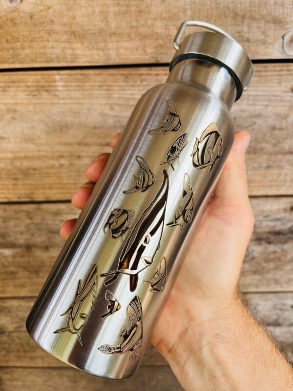 Gourde inox isotherme - Les Platax par Bland' – Image 7